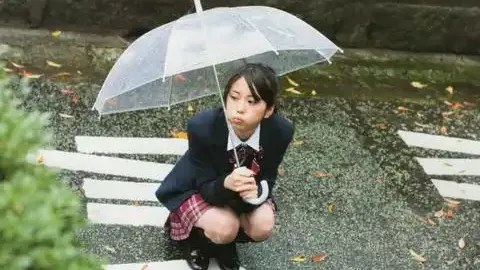 中韩建交33周年