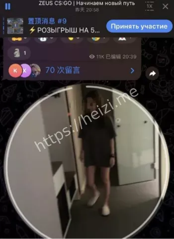 国内粉丝