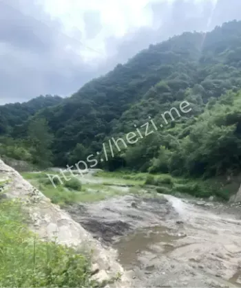 信任危机