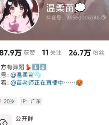 温柔苗