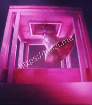 细思极恐