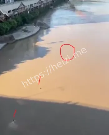 全网焦点