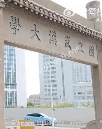 网友热议