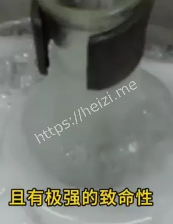 黑子网
