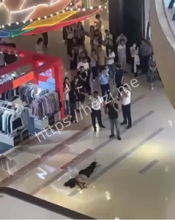 跳楼