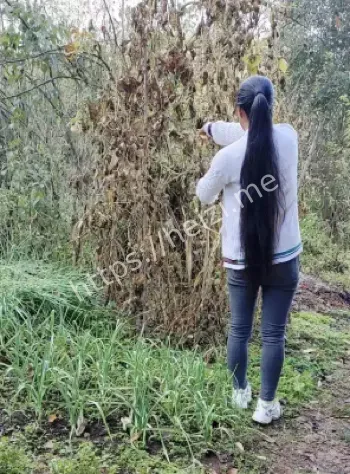 未成年人保护