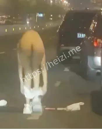 沈阳女同