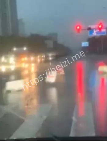 台风剑鱼
