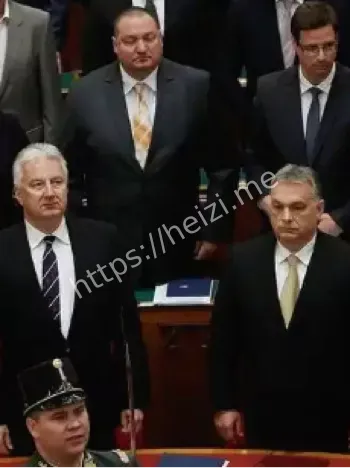 普京提议会晤泽连斯基拒绝