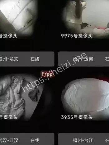 中国版