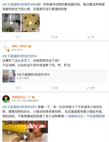 虐猫事件