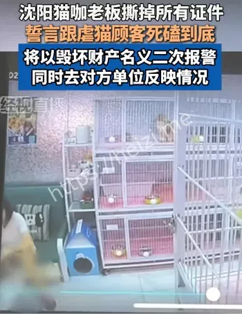 判刑3年