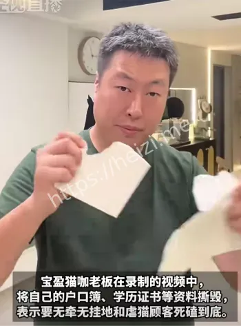 宝盈猫咖