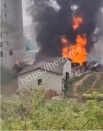 舆情核验与更新说明