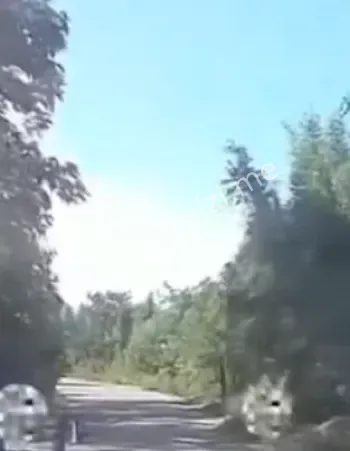 研究生救人被刺身亡