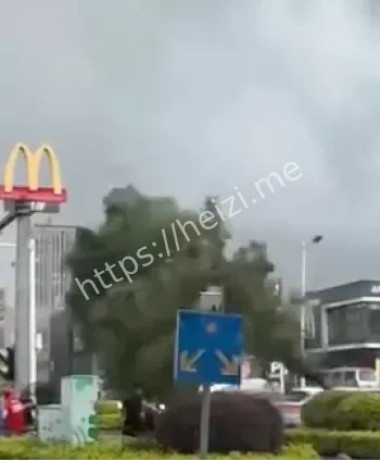 城市内涝应对指南