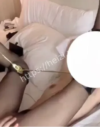 网红狗狗凭颜值翻身