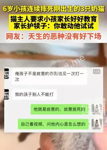 奶猫死亡真相曝光
