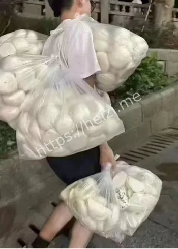 桦加沙实时路径与强度