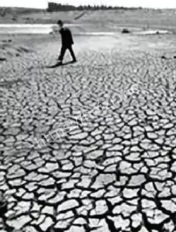 杨志发发现兵马俑故事