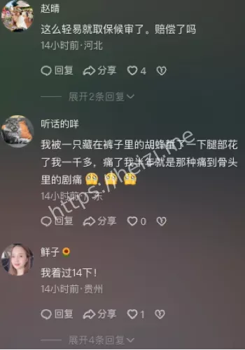 牟定县兄妹野蜂攻击