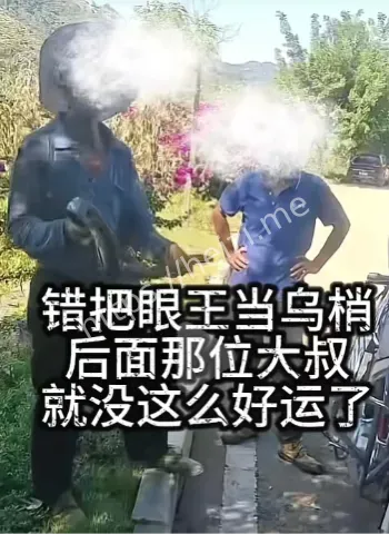 乌梢蛇