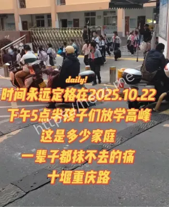 司机动机调查