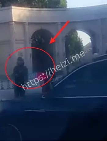 时代峰峻艺人左航